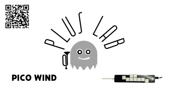 PICO WIND